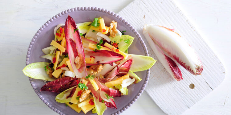 Chicory Salad