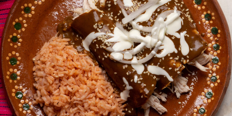 Carnitas with Orzo and Peppers in Red Mole Sauce