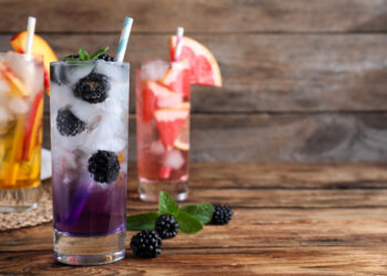 Blackberry Mojito Recipe