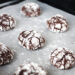 VEGAN CHOCOLATE CRINKLE COOKIES