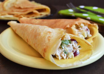 Cranberry apple turkey salad wrap