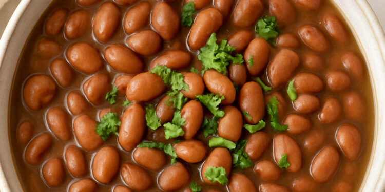 Instant Pot Pinto Beans