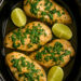 Slow Cooker Lime Cilantro Chicken